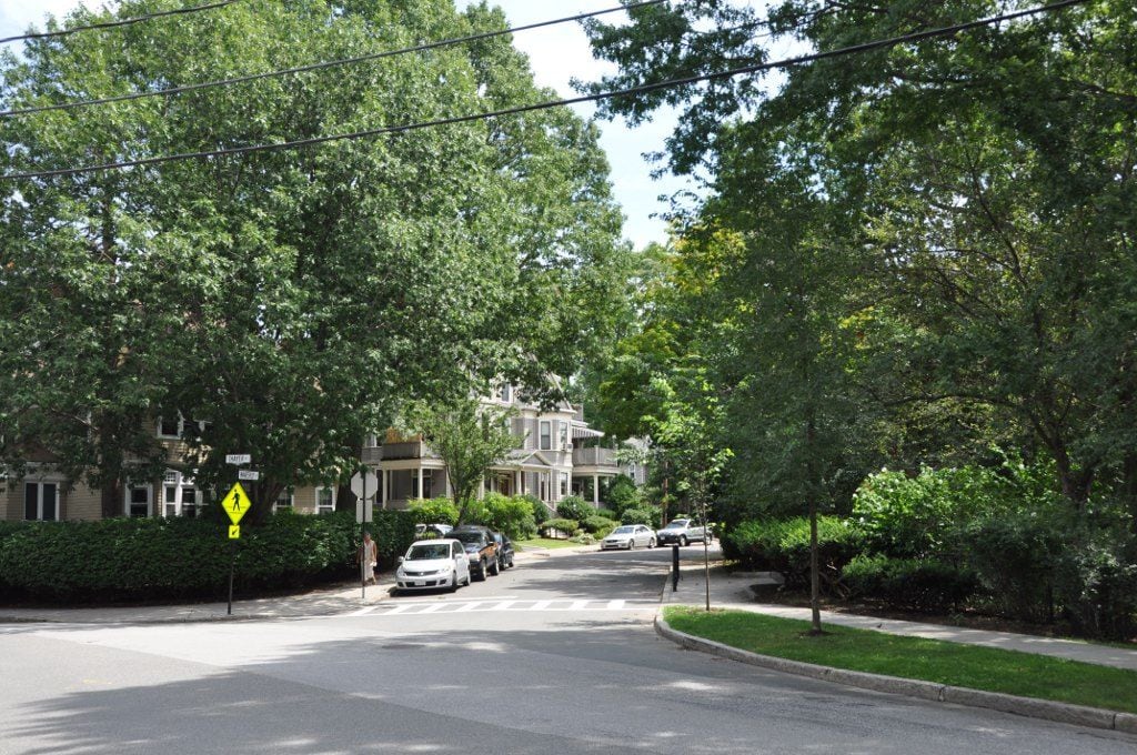 Leafy Waverly Street and residential porches in Brookline, Massachusetts